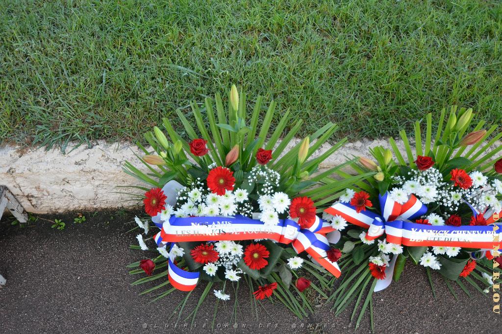 2024 09 25 TOULON  HOMMAGE AUX HARKIS et FORCES SUPPLETIVES D ALGERIE   (7).jpg